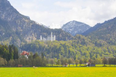 Neuschwanstein Kalesi veya Neuschwanstein Kalesi