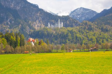Neuschwanstein Kalesi veya Neuschwanstein Kalesi