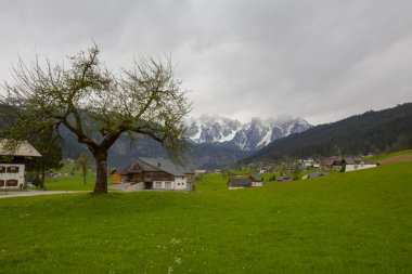 Gosau çok sevilen bir dağ köyüdür ve ünlü gölüyle ünlüdür..