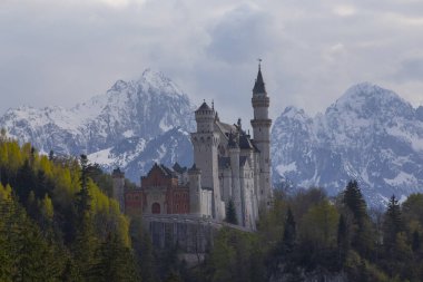 Neuschwanstein Kalesi 'ni ziyaret etmek sadece rehberli bir turun parçası olarak mümkündür..