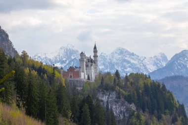Neuschwanstein Kalesi 'ni ziyaret etmek sadece rehberli bir turun parçası olarak mümkündür..
