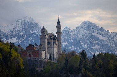 Neuschwanstein Kalesi 'ni ziyaret etmek sadece rehberli bir turun parçası olarak mümkündür..