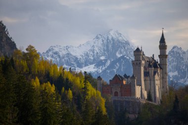 Neuschwanstein Kalesi 'ni ziyaret etmek sadece rehberli bir turun parçası olarak mümkündür..