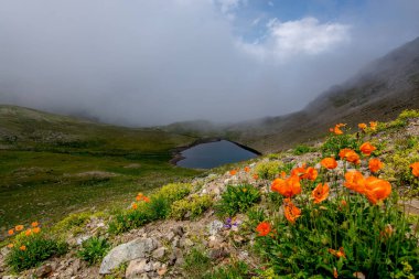 Kackar Dağları Ulusal Parkı