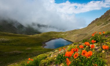 Kackar Dağları Ulusal Parkı