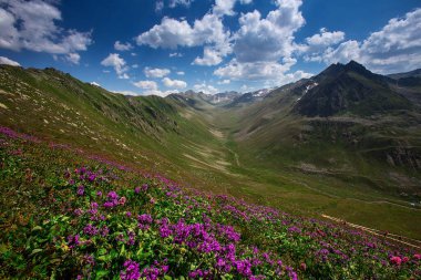 Kackar Dağları Ulusal Parkı