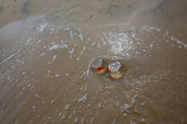 Akvaryumdaki balıklar deniz kenarında