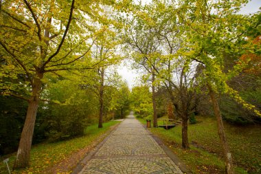 Ataturk Arboretum is in the Sariyer district of Istanbul. clipart