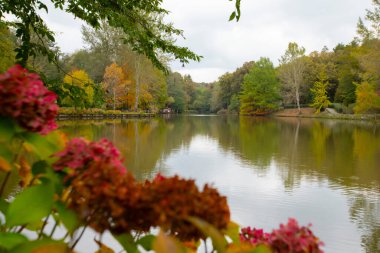 Ataturk Arboretum is in the Sariyer district of Istanbul. clipart