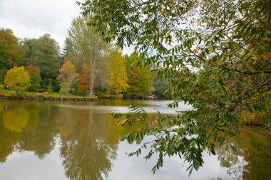Atatürk Ağacı, İstanbul 'un Sariyer ilçesine bağlı bir mahalle..