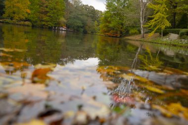Atatürk Ağacı, İstanbul 'un Sariyer ilçesine bağlı bir mahalle..
