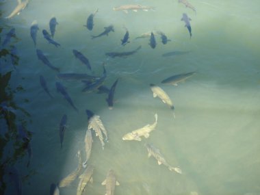 Doğu Anadolu 'nun Trkiye bölgesinde inşa edilen turistik alanların fotoğrafları