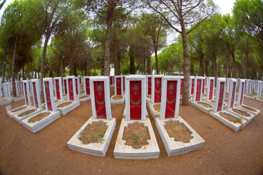 Gelibolu Yarımadası 'nın en çok ziyaret edilen ana noktası olan Çanakkale Şehitleri Anıtı Eskihisarlk Burnu' nda yer alıyor..