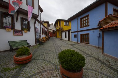 Odunpazar Evleri, Eskiehir 'in ilk yerleşim yerini oluşturan Odunpazar ilçesindeki Osmanlı döneminden kalma tarihi evlerdir..