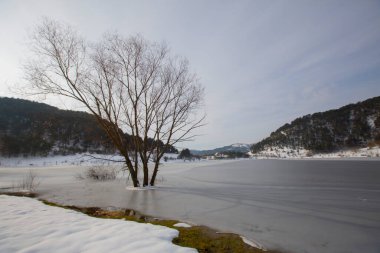 Cubuklu Gölü, Bolu 'nun Gynk bölgesinde bir heyelan tarafından oluşturulan turistik göl..