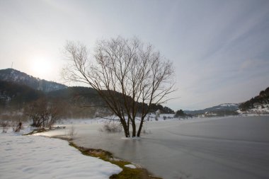 Cubuklu Gölü, Bolu 'nun Gynk bölgesinde bir heyelan tarafından oluşturulan turistik göl..