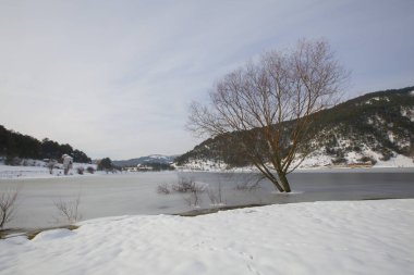 Cubuklu Gölü, Bolu 'nun Gynk bölgesinde bir heyelan tarafından oluşturulan turistik göl..