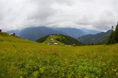 Karadeniz 'in en güzel platolarından biri olan Pokut Platosu' nda tamamen ahşap bir plato vardır..