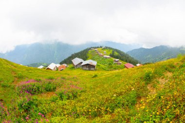 Karadeniz 'in en güzel platolarından biri olan Pokut Platosu' nda tamamen ahşap bir plato vardır..
