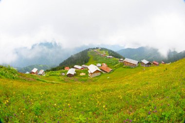 In Pokut Plateau, one of the most beautiful plateaus of the Black Sea, there is a completely wooden plateau. clipart