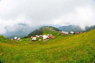 Karadeniz 'in en güzel platolarından biri olan Pokut Platosu' nda tamamen ahşap bir plato vardır..