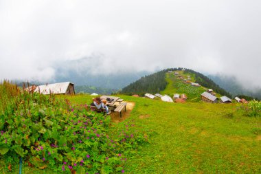 In Pokut Plateau, one of the most beautiful plateaus of the Black Sea, there is a completely wooden plateau. clipart