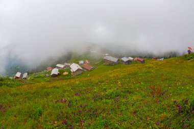 Karadeniz 'in en güzel platolarından biri olan Pokut Platosu' nda tamamen ahşap bir plato vardır..