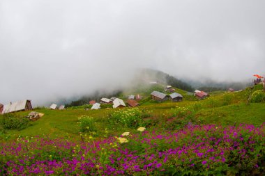 Karadeniz 'in en güzel platolarından biri olan Pokut Platosu' nda tamamen ahşap bir plato vardır..