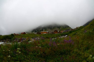 Elevit Plateau - Rize. It is located in amlhemin District at an altitude of 1884 meters. clipart