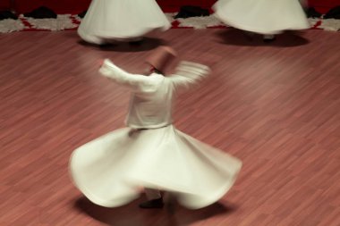 Mevlana Celaleddin Rumi ile olan 749. Buluşma Yıldönümü Anma Töreni, ölümünün yıldönümüne denk geliyor.