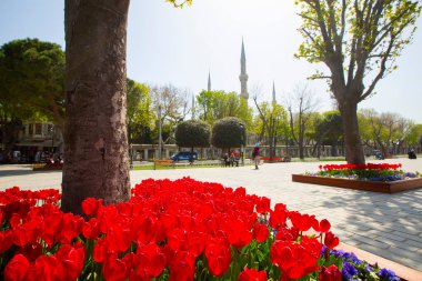 Sultanahmet Meydanı ve Ayasofya Büyük Camii