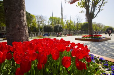 Sultanahmet Meydanı ve Ayasofya Büyük Camii