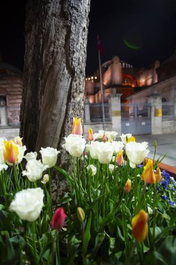 Sultanahmet Meydanı ve Ayasofya Büyük Camii