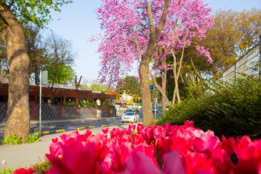 Vriz, Ereli ilçesinin 12 km güneydoğusunda, Konya 'nın Halkapnar ilçesinin Vriz mahallesinde yer alan Demir Çağı arkeoloji alanıdır..