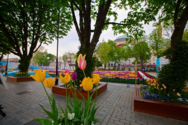 Sultanahmet Meydanı ve Lale Festivali, İstanbul