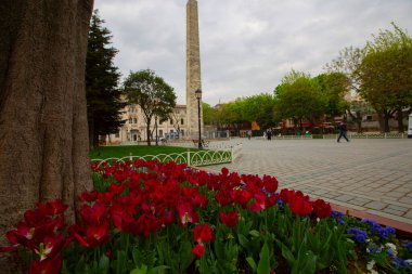 Sultanahmet Meydanı ve Lale Festivali, İstanbul