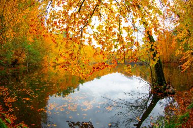 Yedigller Milli Parkı, Bolu Türkiye
