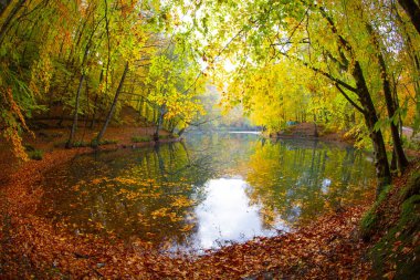 Yedigloler Ulusal Parkı, Bolu Trkiye