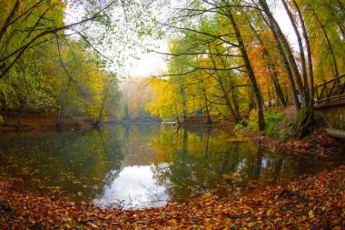 Yedigloler Ulusal Parkı, Bolu Trkiye