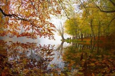 Yedigloler Ulusal Parkı, Bolu Trkiye