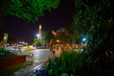 Sultanahmet Meydanı Lale Festivali her yıl nisan ayında gerçekleşir