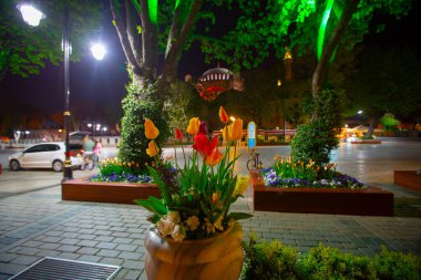 Sultanahmet Meydanı Lale Festivali her yıl nisan ayında gerçekleşir