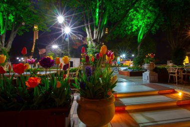 Sultanahmet Meydanı Lale Festivali her yıl nisan ayında gerçekleşir