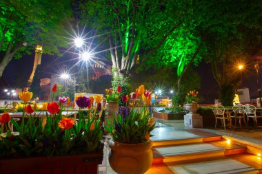 Sultanahmet Meydanı Lale Festivali her yıl nisan ayında gerçekleşir