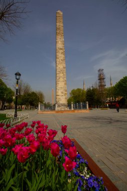 Sultanahmet Meydanı Lale Festivali her yıl nisan ayında gerçekleşir
