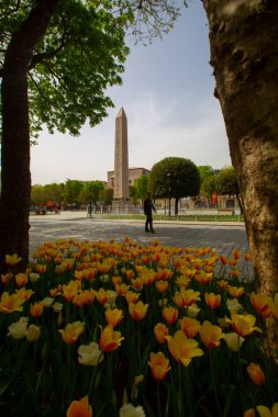 Sultanahmet Meydanı Lale Festivali her yıl nisan ayında gerçekleşir