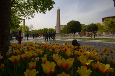 Sultanahmet Meydanı Lale Festivali her yıl nisan ayında gerçekleşir