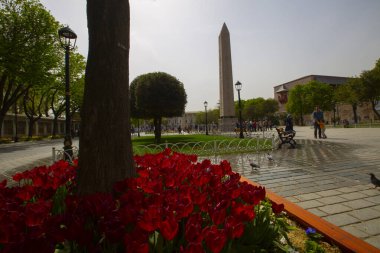 Sultanahmet Meydanı Lale Festivali her yıl nisan ayında gerçekleşir