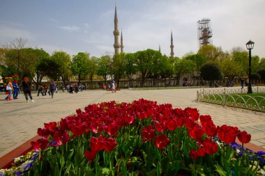 Sultanahmet Meydanı Lale Festivali her yıl nisan ayında gerçekleşir