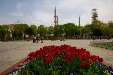 Sultanahmet Meydanı Lale Festivali her yıl nisan ayında gerçekleşir